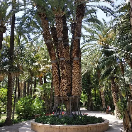 Apartment Oasis 129 Orihuela
